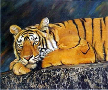 tigre